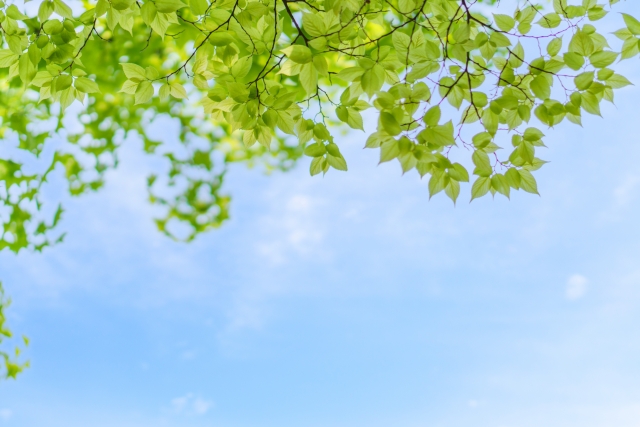 保護者のサポート